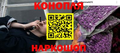 Альфа ПВП Комсомольск-на-Амуре