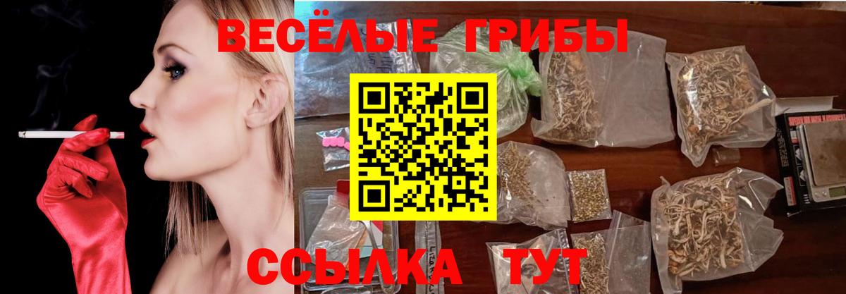 Псилоцибиновые грибы мицелий  Галлюциногенные грибы Psilocybe  как найти   Карталы  Вход с VPN 